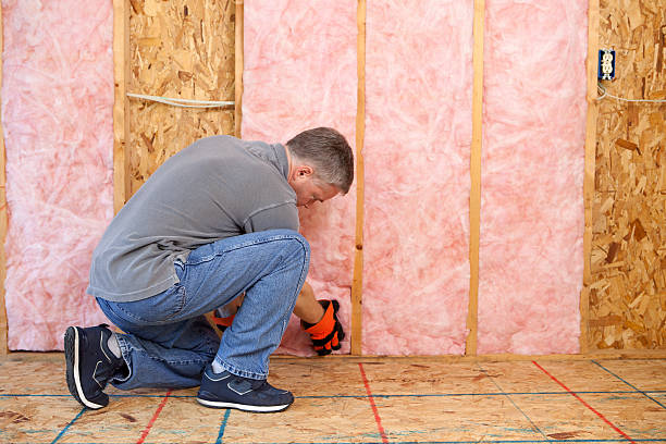 Best Home Insulation Services  in Cowarts, AL